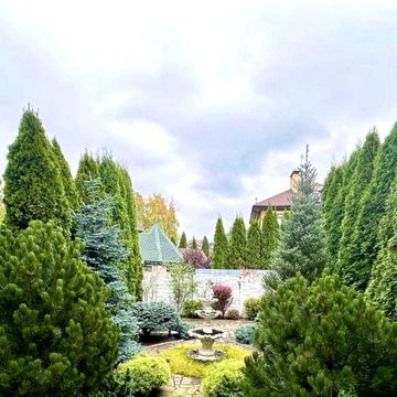 Оренда будинкуЧайки Інвертор.Сонячні панелі. Генератор. Газова плита.