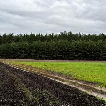 Продам Дачу , Кулеши , Каменское 10 км ., Сауна -Басейн