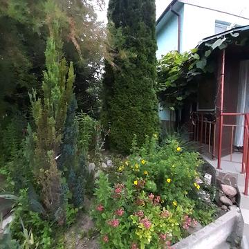 Леси Украинки