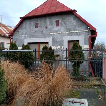 3хкімнатний будинок з прибудовами, великою ділянкою та гаражем