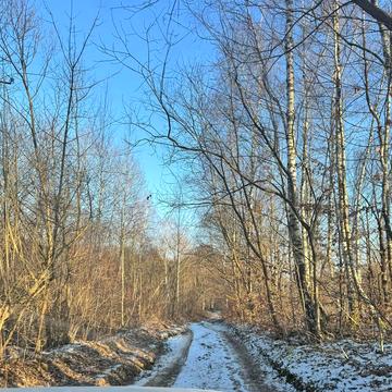 Івана Богуна вул., 95