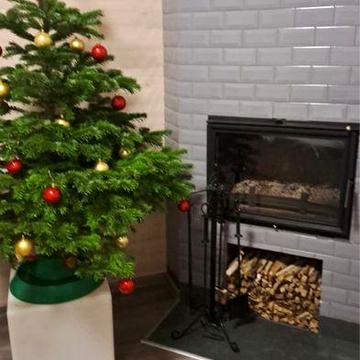 Будинок і 0,5 Га землі в с.Ярок.