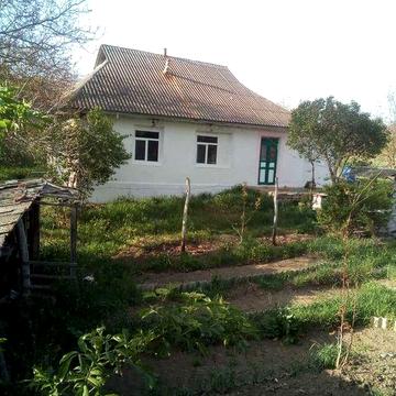 Продам  Дом + Сад (70 соток+) Со всем что есть!