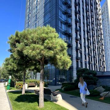 Без %, власник. Продаж 1к ЖК Метрополіс, Заболотного, Теремки ЖК Метрополіс