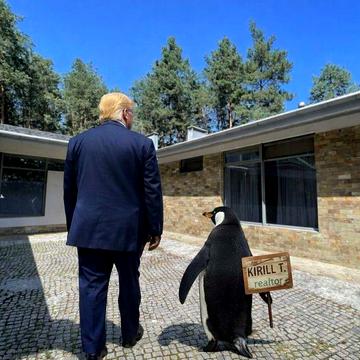 Аренда Дома 4к 350м2 20 соток Песчанка до Днепра 20 километров