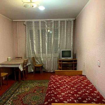 Ближні Гречани 1 кімнатна квартира