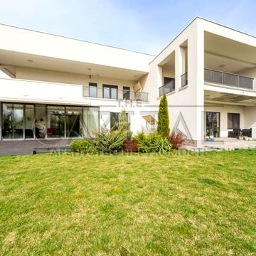 Виноградна вул.