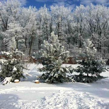 Будинок тиші та затишку с. Шкарівка