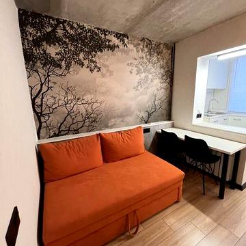 Довгострокова оренда 1к Квартира Березинська вулиця