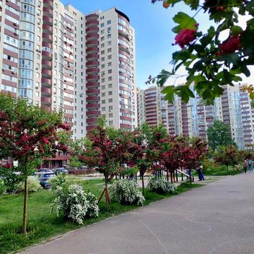 Здаю в оренду 2х.кім.кв. жк Парковий, вул.М.Руденка м.Київ