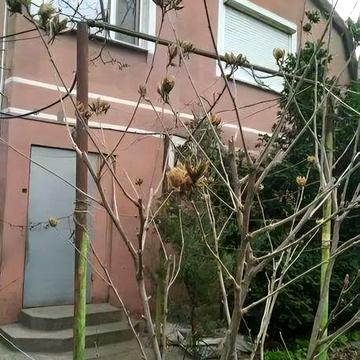 Продам будинок поблизу м. Чорноморськ