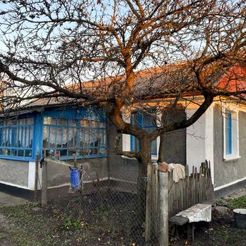 Продам будинок в селі Заруддя