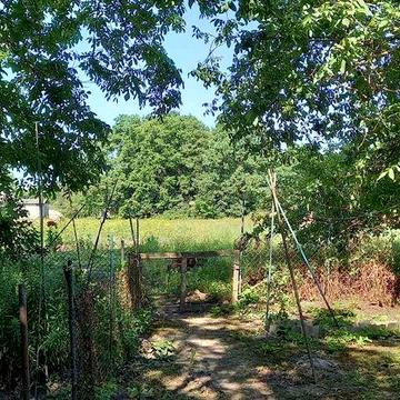 Пів будинку в селі Літочки.