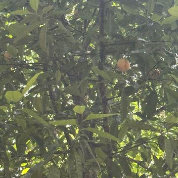 Продаж 3к Дім Веселі Терни (Поленова) вулиця