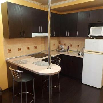 Однокімнатна квартира на О.Поля(низ)