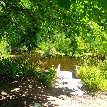 Загородный дом возле Черкасс