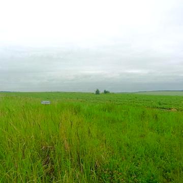 Лісові Гринівці, Хмельницький, Хмельницька область 8500.0 USD