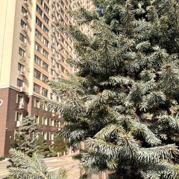 Сахарова Кадор 2х комнатная , евроремонт-56 000$ ЖК Кадор