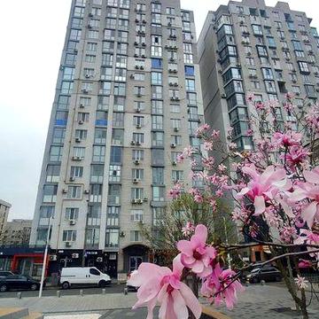 Сдам 3-х к кв центр цирк ,набережная .