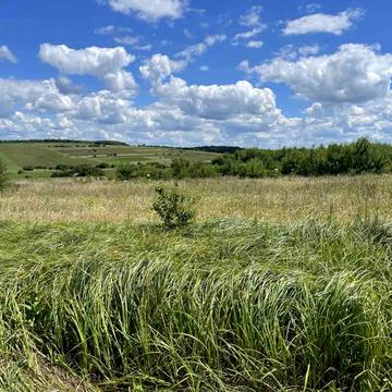 урочище гора