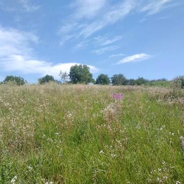 вул. Багалія, 11