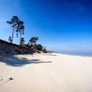 Держпрограми. Будинок біля Дніпра. Центр села Сагунівка