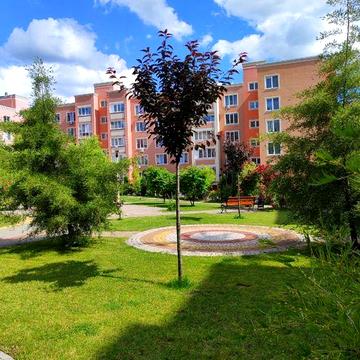 Оренда 1к квартири, ЖК Петрівський квартал, Святопетрівське