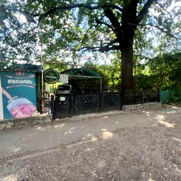 Терміново продам будинок та магазин