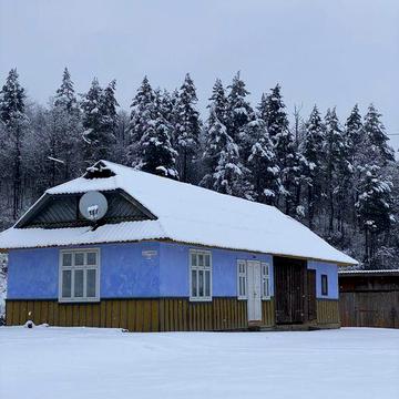 Продам житловий будинок у центрі Шешор , 10 соток