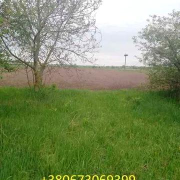 Продається будинок в селі  Привороття,