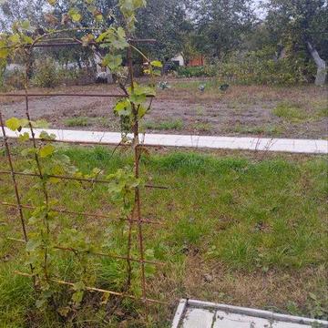 Продам дачу в м. Чернігів вул. Михайлевича(біля обл. лікарні) 4 сот.