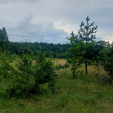 Дениші, Житомирський, Житомирська область 2950.0 USD