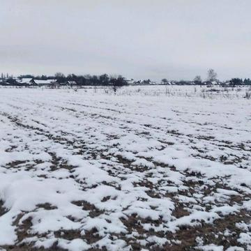 Сінгури, Житомирський, Житомирська область 6500.0 USD