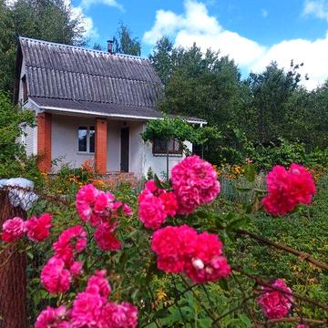 Продаж капітальної дачі.