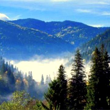 В горах ліс чани сауни басейни будинки