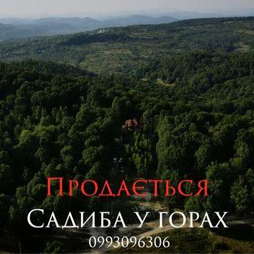 В горах ліс чани сауни басейни будинки