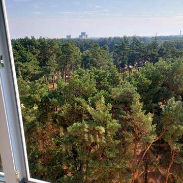 Масаны  Аренда большой 1 ком