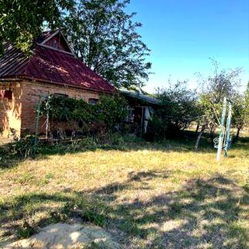 Будинок біля річки та лісу.