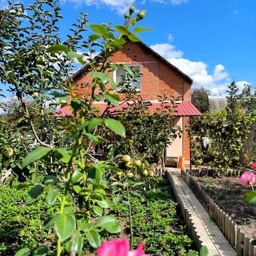 Продам затишну дачу