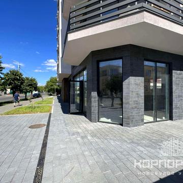 Марії Заньковецької вул., 33