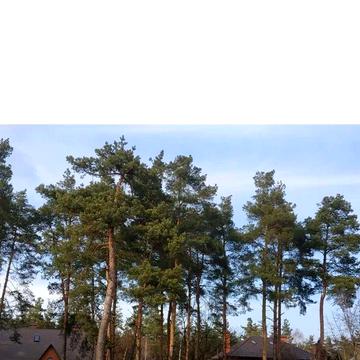 будинок вул. Київська, поруч Сільпо, Епіцентр, Фора, озеро