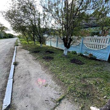 Будинок біля лісу