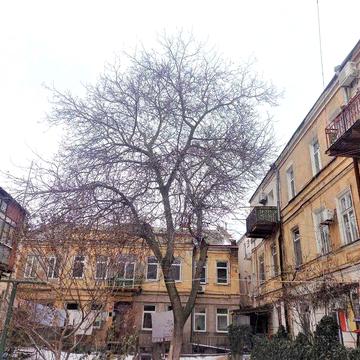 Продам 1 комн квартиру на Княжеской центр 37 кв.м.