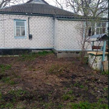 Здається 3 кімнатний будинок