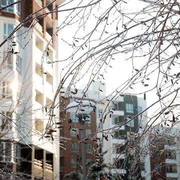 1-кімнатна 41 м² Введений будинок  Доступна єОселя  Ірпінь ЖК Синергія Сіті