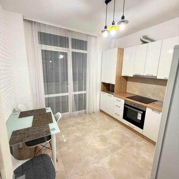 Оренда 1о кімн квартира Центр, вул. С. Сміта (Толстого)