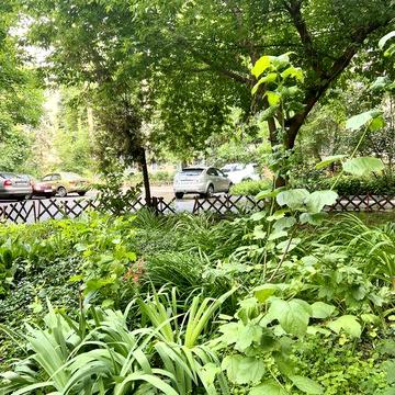 Сертифікат беремо. Продам 3к Чешку ж/м Тополь-1, д.15.