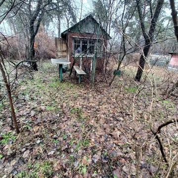 Сільпо, Вишгород, Вишгородський, Київська область 22000.0 USD