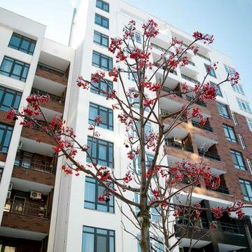 Передпродаж нового будинку Синергії. Квартира в оплату на 48 місяців! ЖК Синергія Сіті