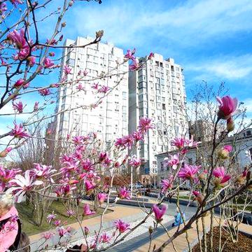 Сдам 3-х к кв центр Рогалева  возле цирка берем с собачкой .